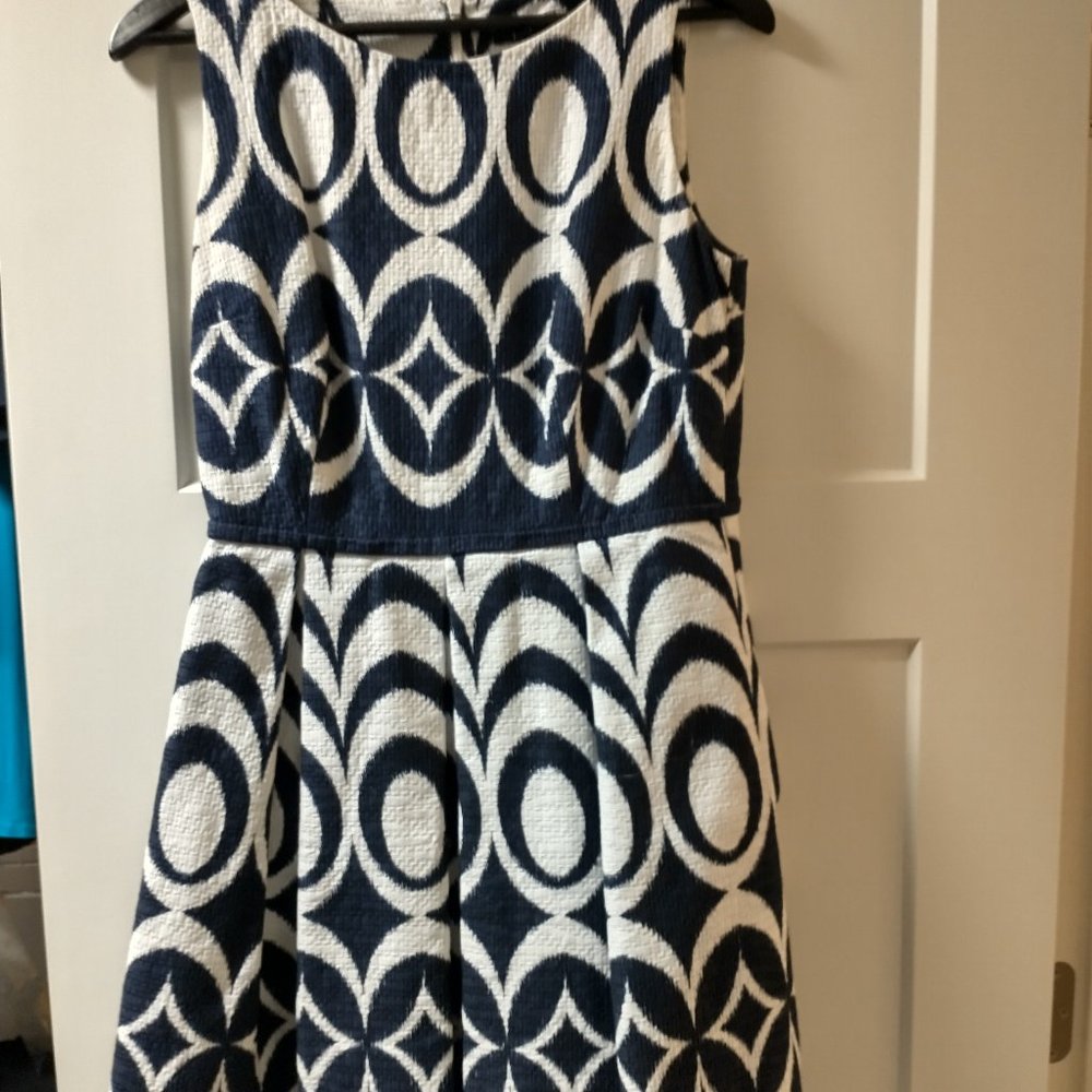 Navy & White Dress